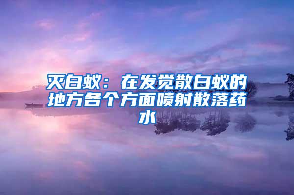 灭白蚁：在发觉散白蚁的地方各个方面喷射散落药水