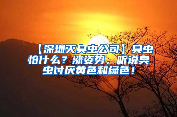 【深圳灭臭虫公司】臭虫怕什么？涨姿势，听说臭虫讨厌黄色和绿色！