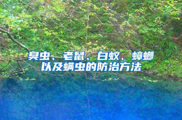 臭虫、老鼠、白蚁、蟑螂以及螨虫的防治方法