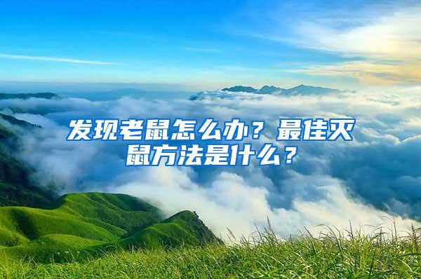 发现老鼠怎么办？最佳灭鼠方法是什么？