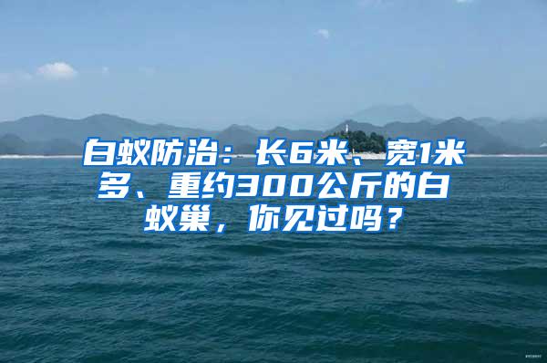 白蚁防治：长6米、宽1米多、重约300公斤的白蚁巢，你见过吗？