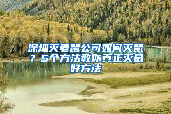 深圳灭老鼠公司如何灭鼠？5个方法教你真正灭鼠好方法