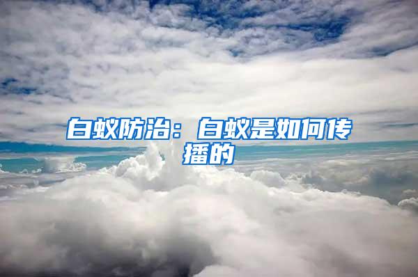 白蚁防治：白蚁是如何传播的