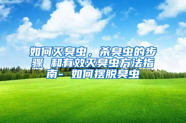 如何灭臭虫，杀臭虫的步骤 和有效灭臭虫方法指南- 如何摆脱臭虫