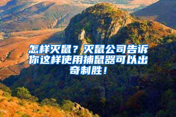 怎样灭鼠？灭鼠公司告诉你这样使用捕鼠器可以出奇制胜！