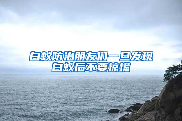 白蚁防治朋友们一旦发现白蚁后不要惊慌