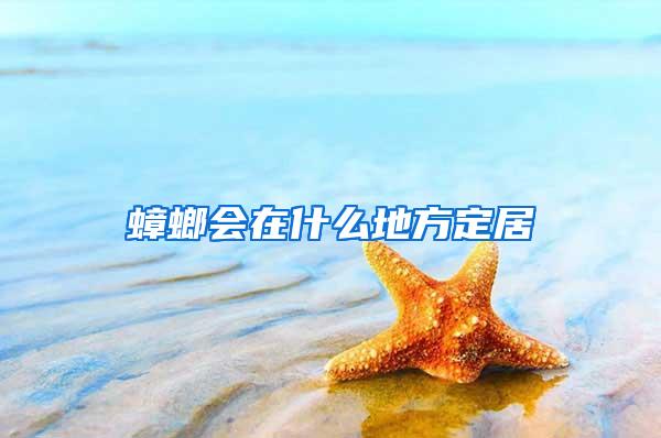 蟑螂会在什么地方定居