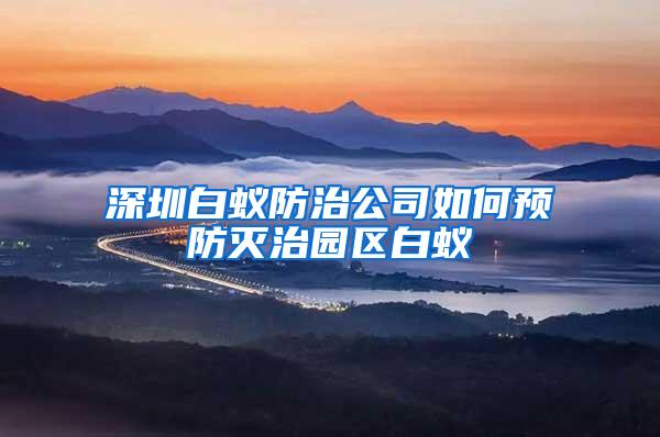 深圳白蚁防治公司如何预防灭治园区白蚁