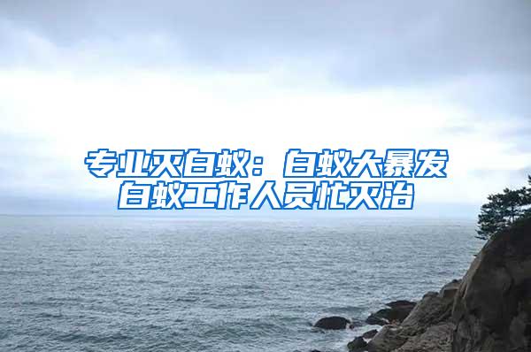 专业灭白蚁：白蚁大暴发白蚁工作人员忙灭治