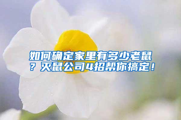 如何确定家里有多少老鼠？灭鼠公司4招帮你搞定！