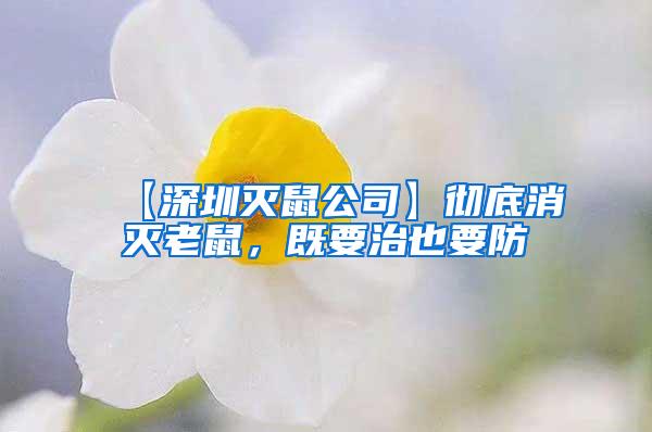 【深圳灭鼠公司】彻底消灭老鼠，既要治也要防