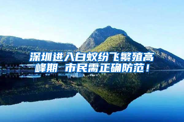 深圳进入白蚁纷飞繁殖高峰期 市民需正确防范！