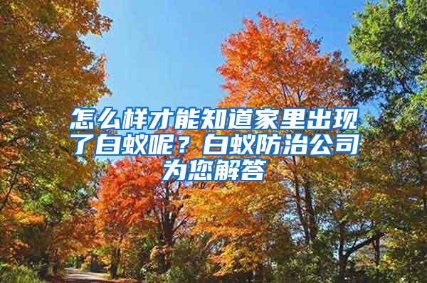 怎么样才能知道家里出现了白蚁呢？白蚁防治公司为您解答