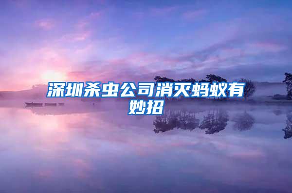 深圳杀虫公司消灭蚂蚁有妙招