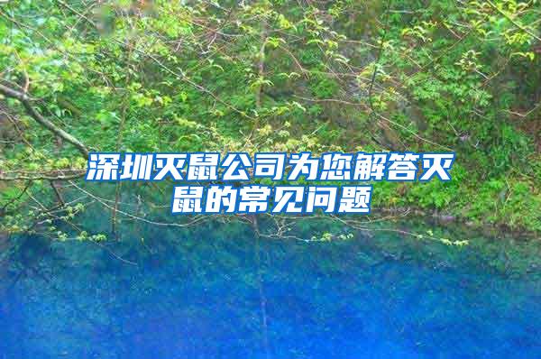 深圳灭鼠公司为您解答灭鼠的常见问题