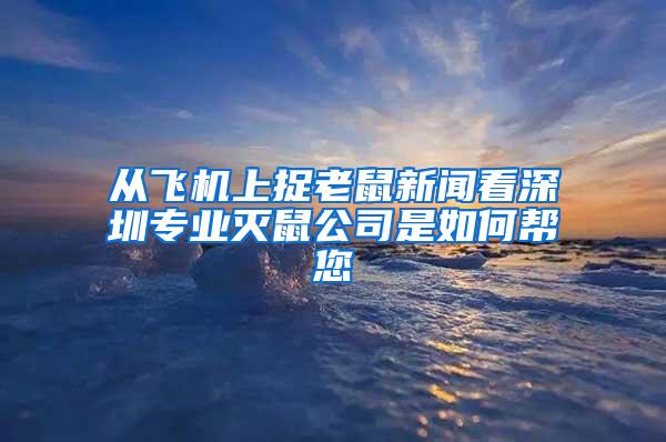 从飞机上捉老鼠新闻看深圳专业灭鼠公司是如何帮您