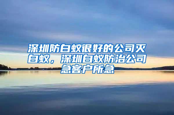 深圳防白蚁很好的公司灭白蚁，深圳白蚁防治公司急客户所急