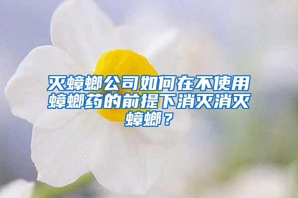 灭蟑螂公司如何在不使用蟑螂药的前提下消灭消灭蟑螂？