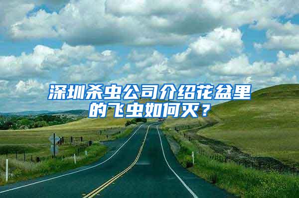 深圳杀虫公司介绍花盆里的飞虫如何灭？