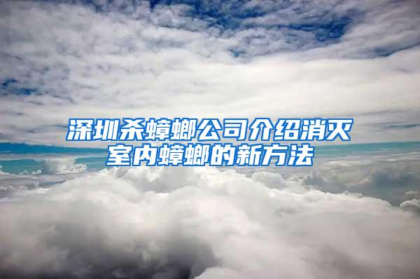 深圳杀蟑螂公司介绍消灭室内蟑螂的新方法