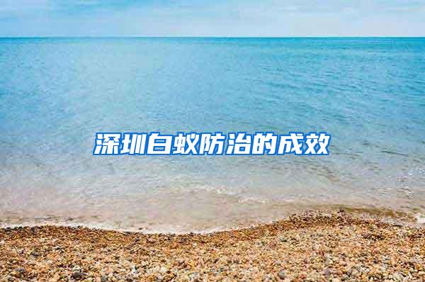 深圳白蚁防治的成效