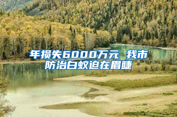 年损失6000万元 我市防治白蚁迫在眉睫