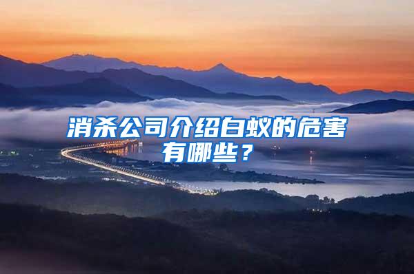 消杀公司介绍白蚁的危害有哪些？