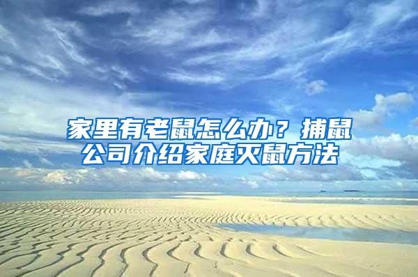 家里有老鼠怎么办？捕鼠公司介绍家庭灭鼠方法