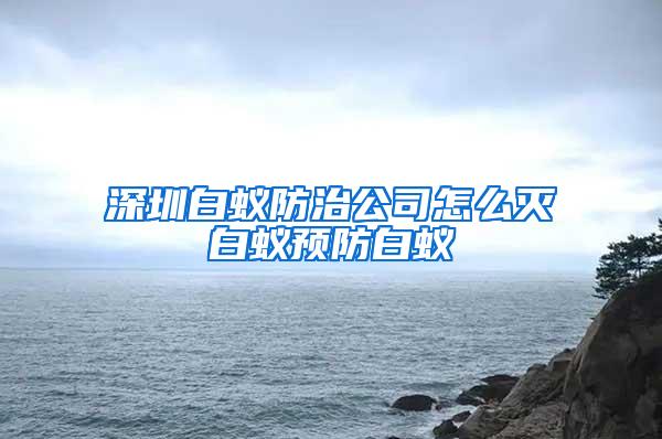 深圳白蚁防治公司怎么灭白蚁预防白蚁