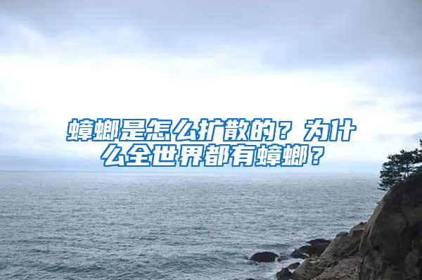 蟑螂是怎么扩散的？为什么全世界都有蟑螂？