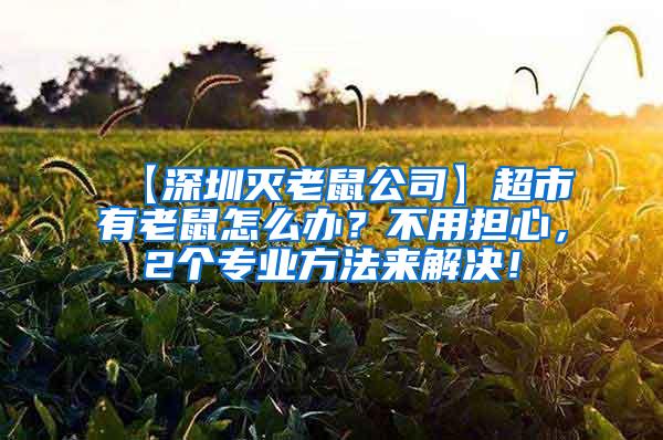 【深圳灭老鼠公司】超市有老鼠怎么办？不用担心，2个专业方法来解决！