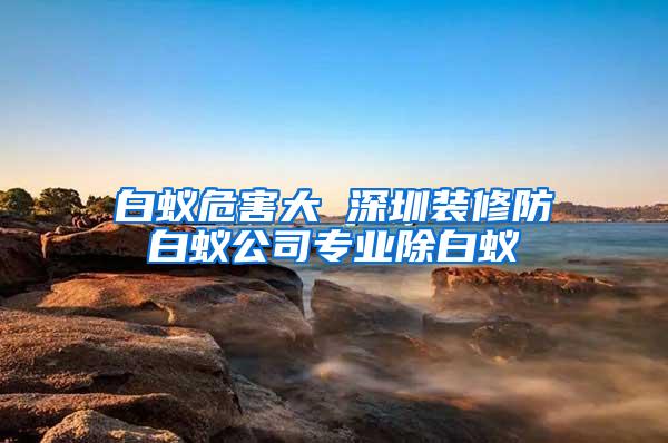 白蚁危害大 深圳装修防白蚁公司专业除白蚁