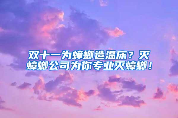 双十一为蟑螂造温床？灭蟑螂公司为你专业灭蟑螂！