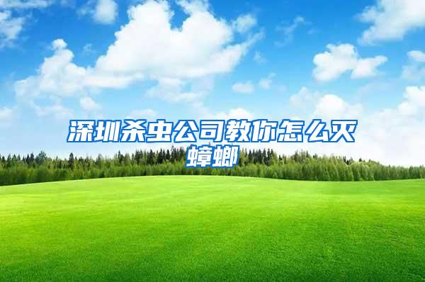 深圳杀虫公司教你怎么灭蟑螂