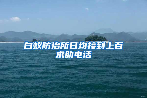 白蚁防治所日均接到上百求助电话