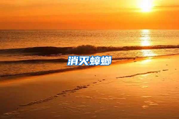 消灭蟑螂