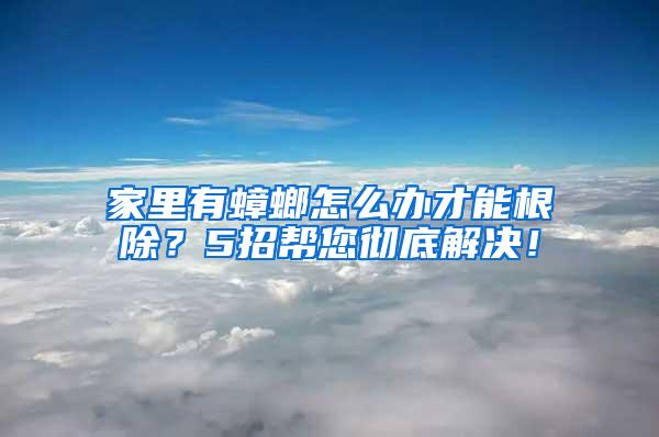 家里有蟑螂怎么办才能根除？5招帮您彻底解决！