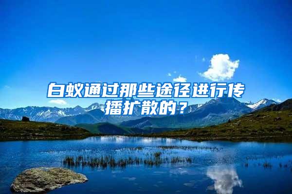 白蚁通过那些途径进行传播扩散的？