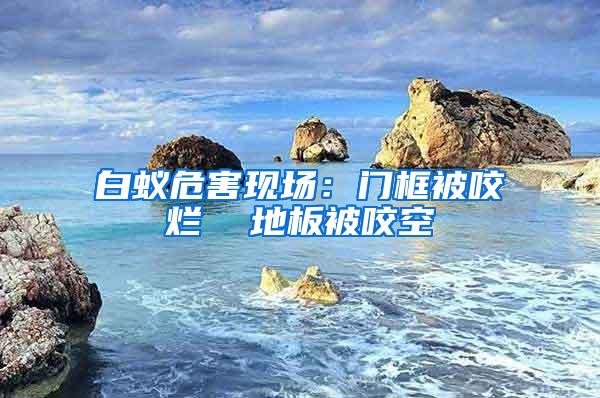 白蚁危害现场：门框被咬烂  地板被咬空