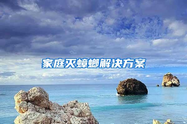 家庭灭蟑螂解决方案