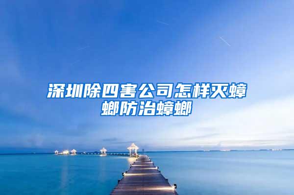 深圳除四害公司怎样灭蟑螂防治蟑螂