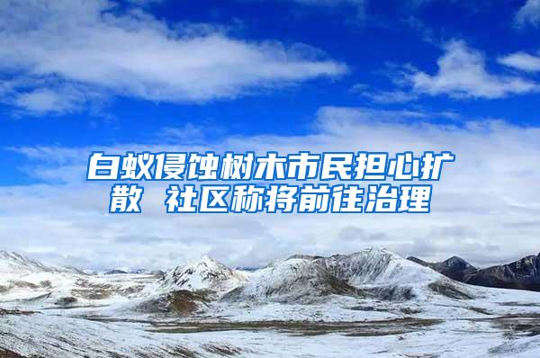 白蚁侵蚀树木市民担心扩散 社区称将前往治理