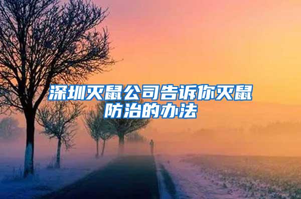 深圳灭鼠公司告诉你灭鼠防治的办法