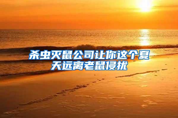 杀虫灭鼠公司让你这个夏天远离老鼠侵扰