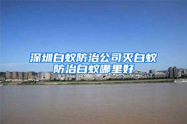 深圳白蚁防治公司灭白蚁防治白蚁哪里好
