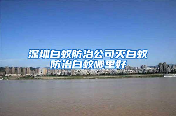 深圳白蚁防治公司灭白蚁防治白蚁哪里好