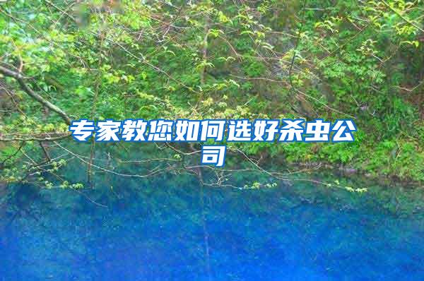 专家教您如何选好杀虫公司