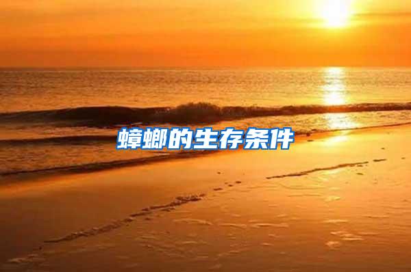 蟑螂的生存条件