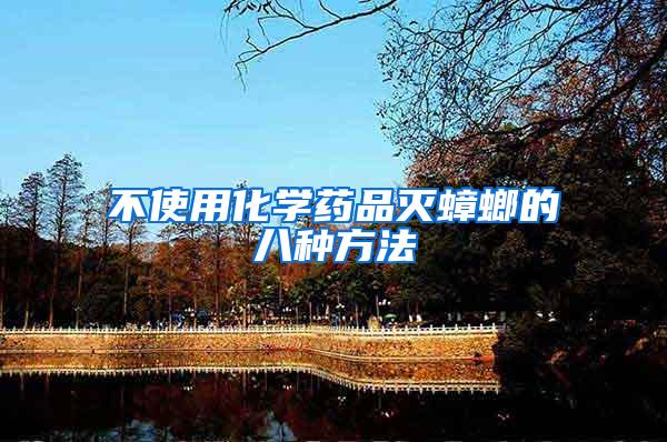 不使用化学药品灭蟑螂的八种方法