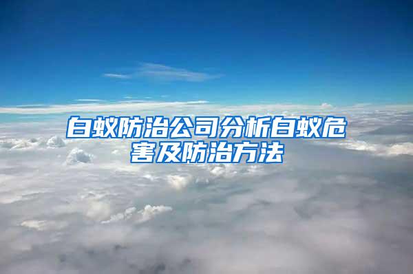 白蚁防治公司分析白蚁危害及防治方法